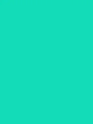 background bearhat