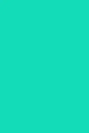 background bearhat background bearhat